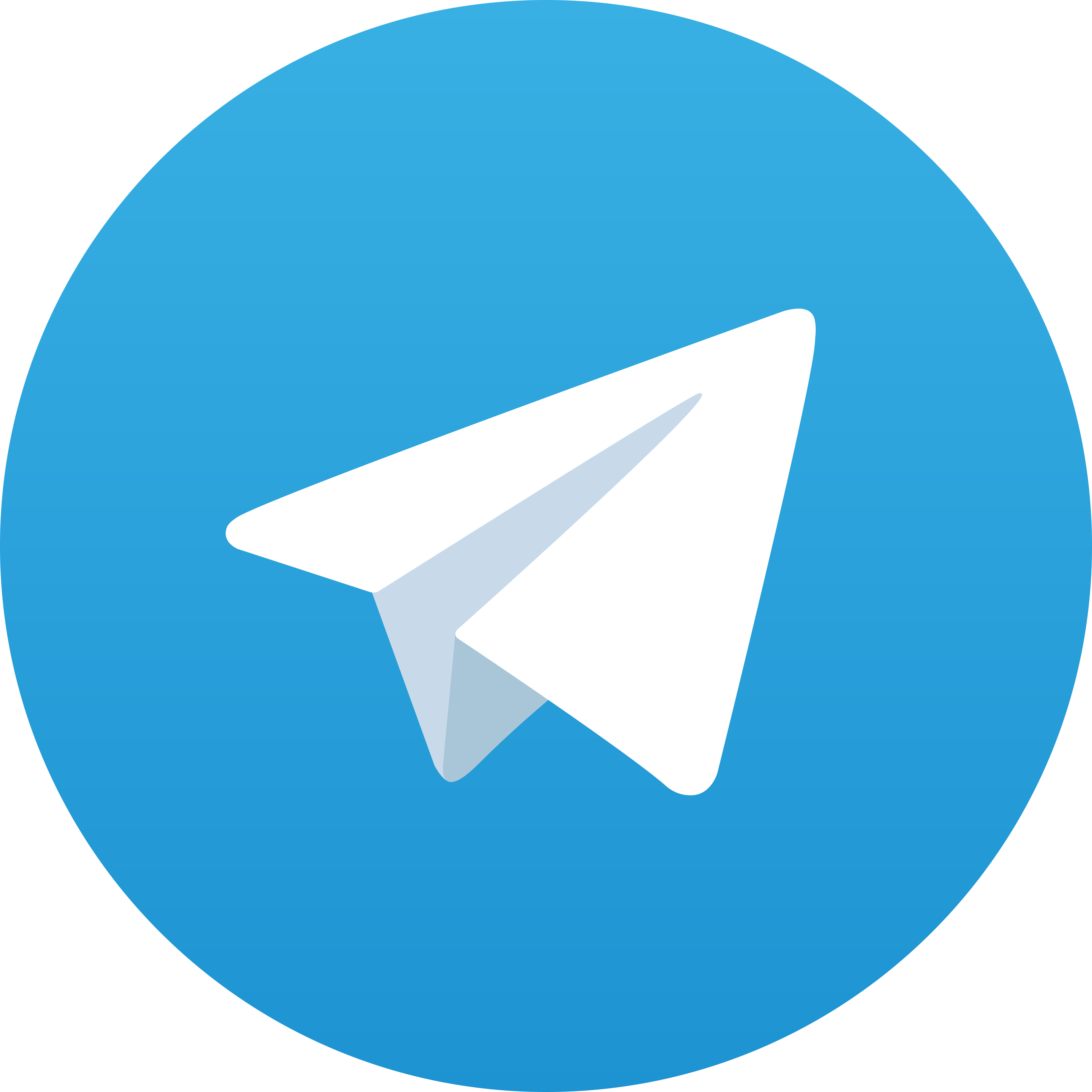 Telegram TIKA99